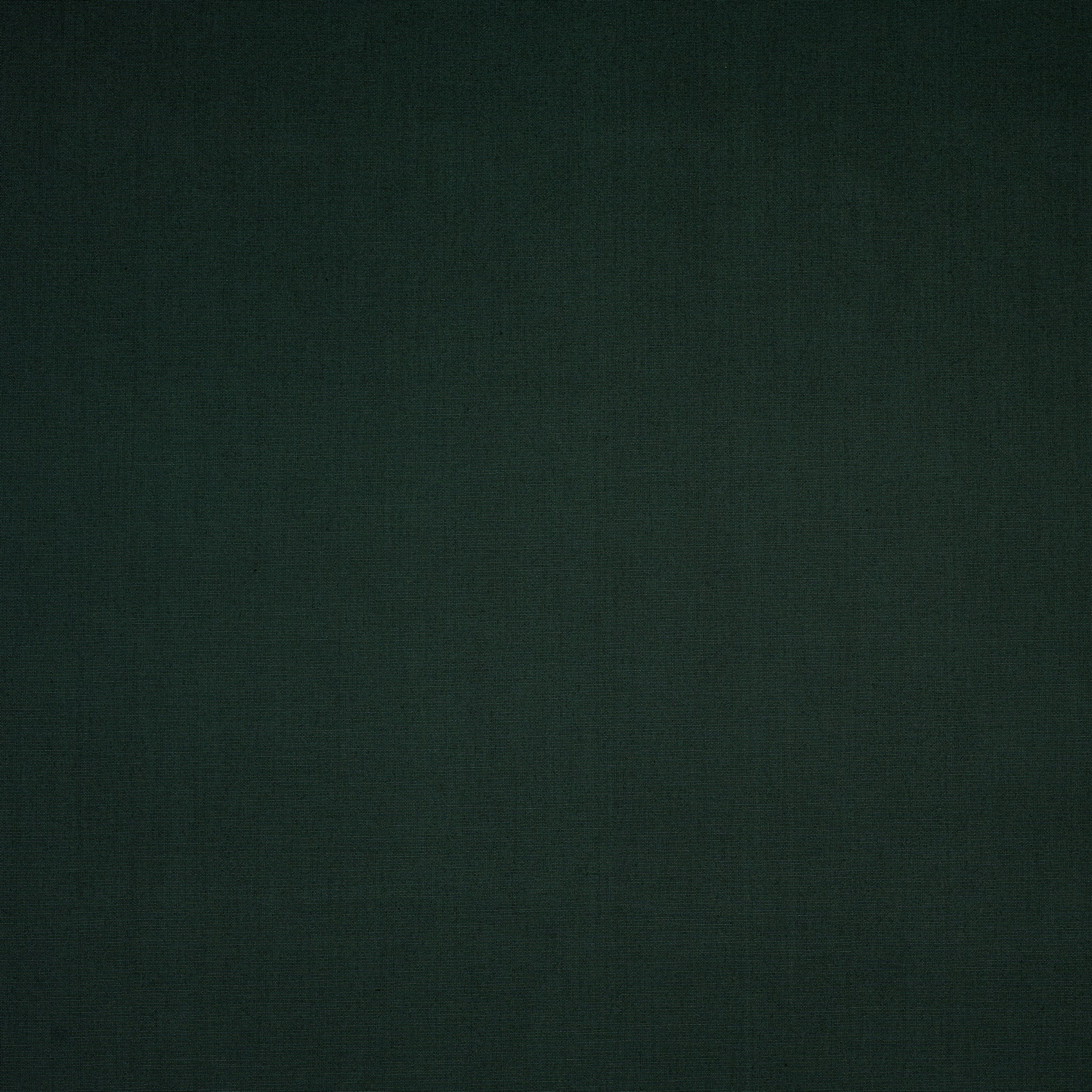 Bio Baumwolle Saftgrün