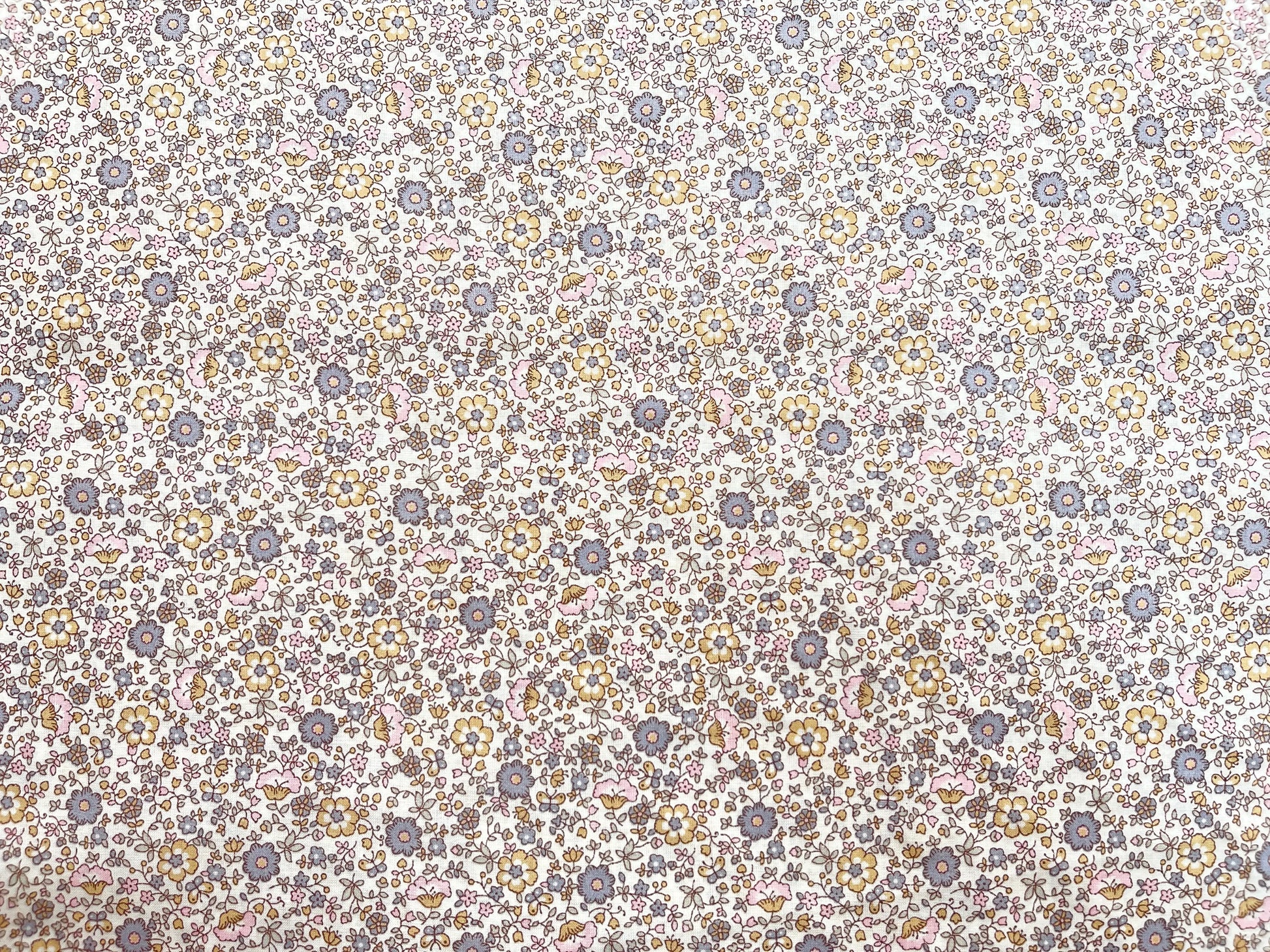 Bio Baumwolle Voile Frühlingserwachen Pastell