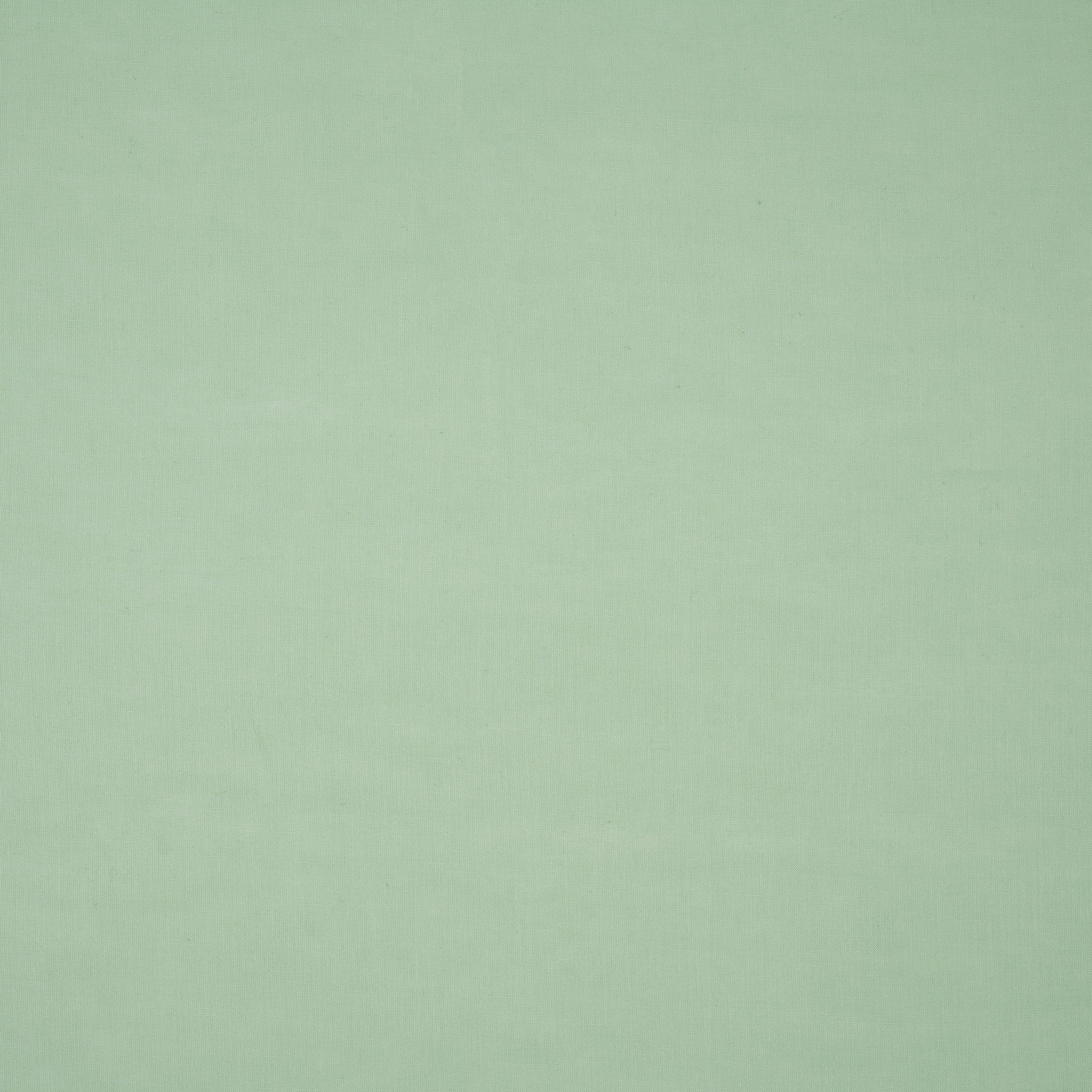 Bio Baumwolle Voile Mint