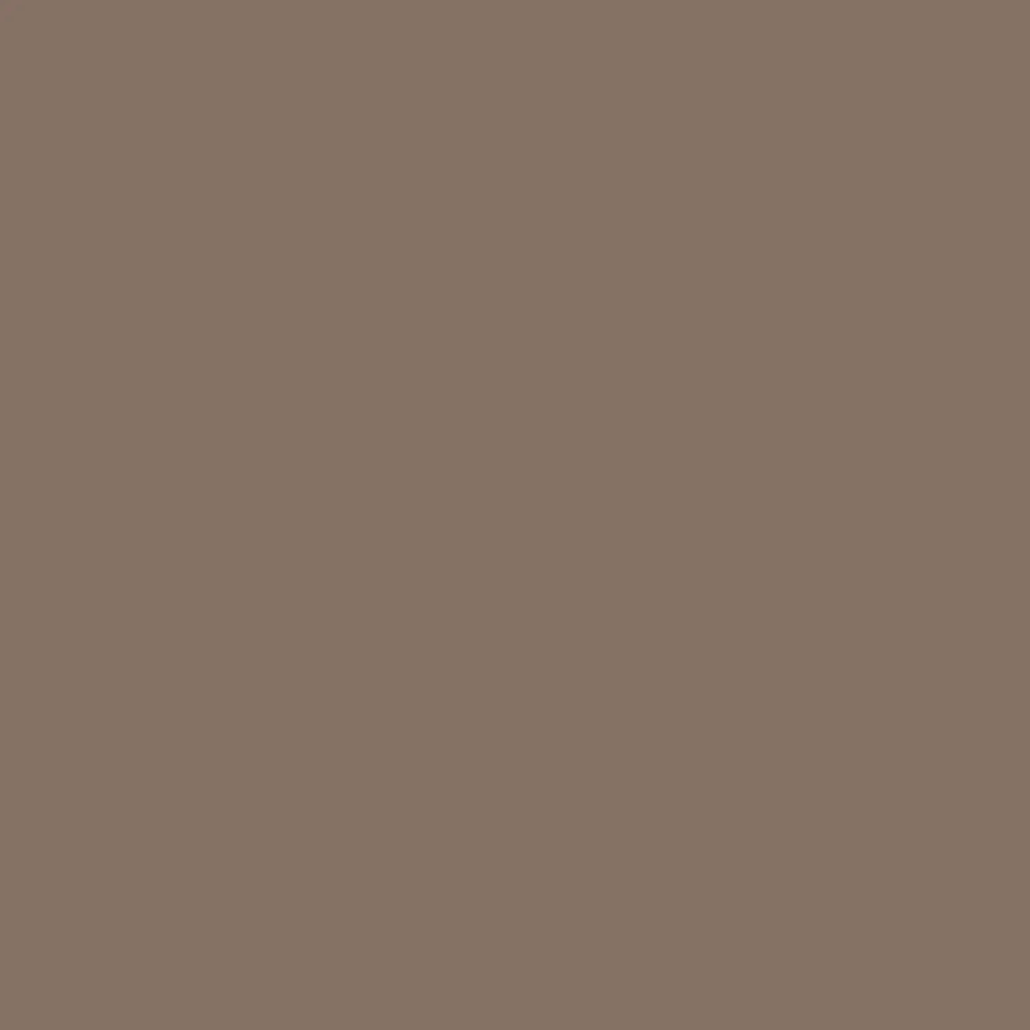Bio Bündchen chocolate