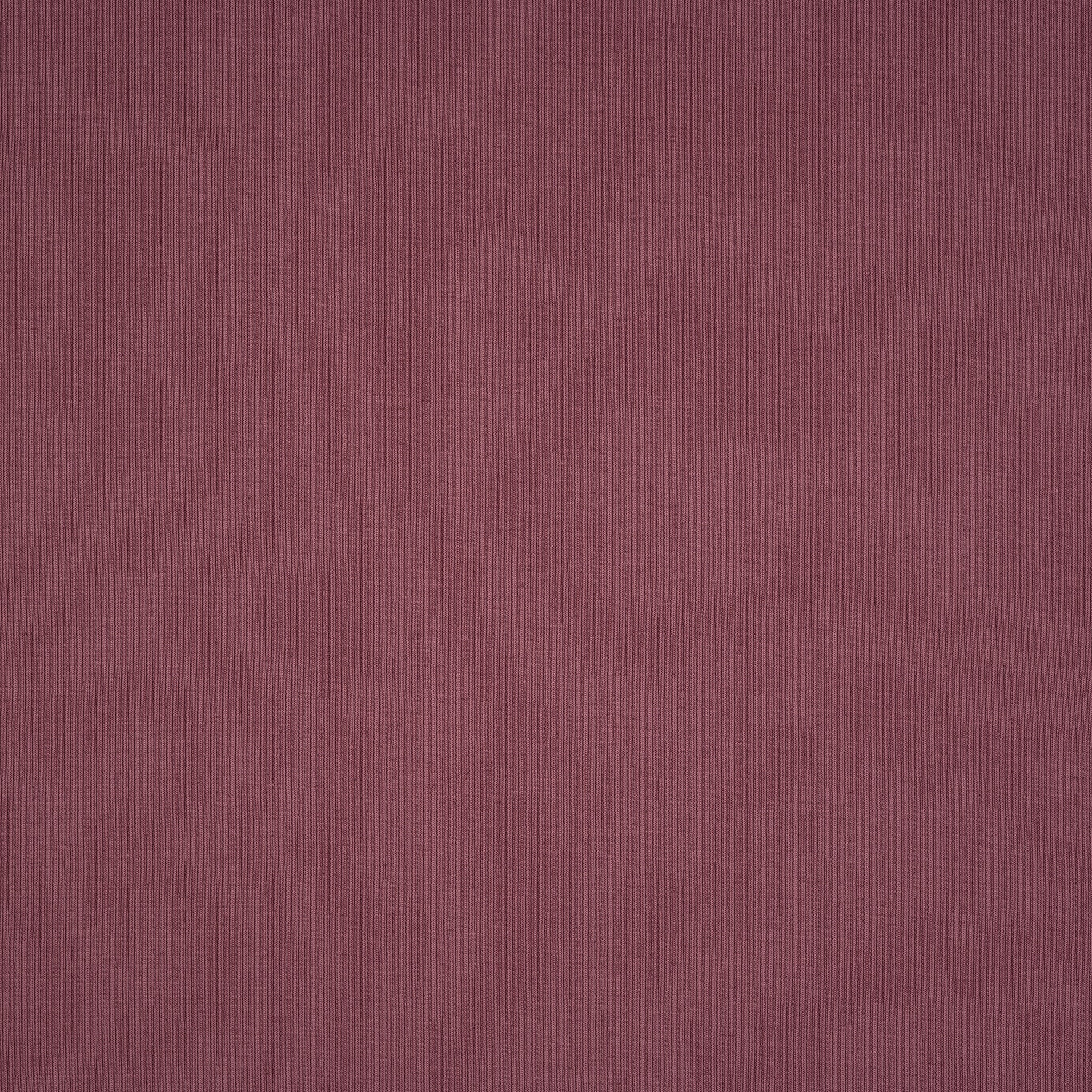 Bio Bündchen Ripp Beere