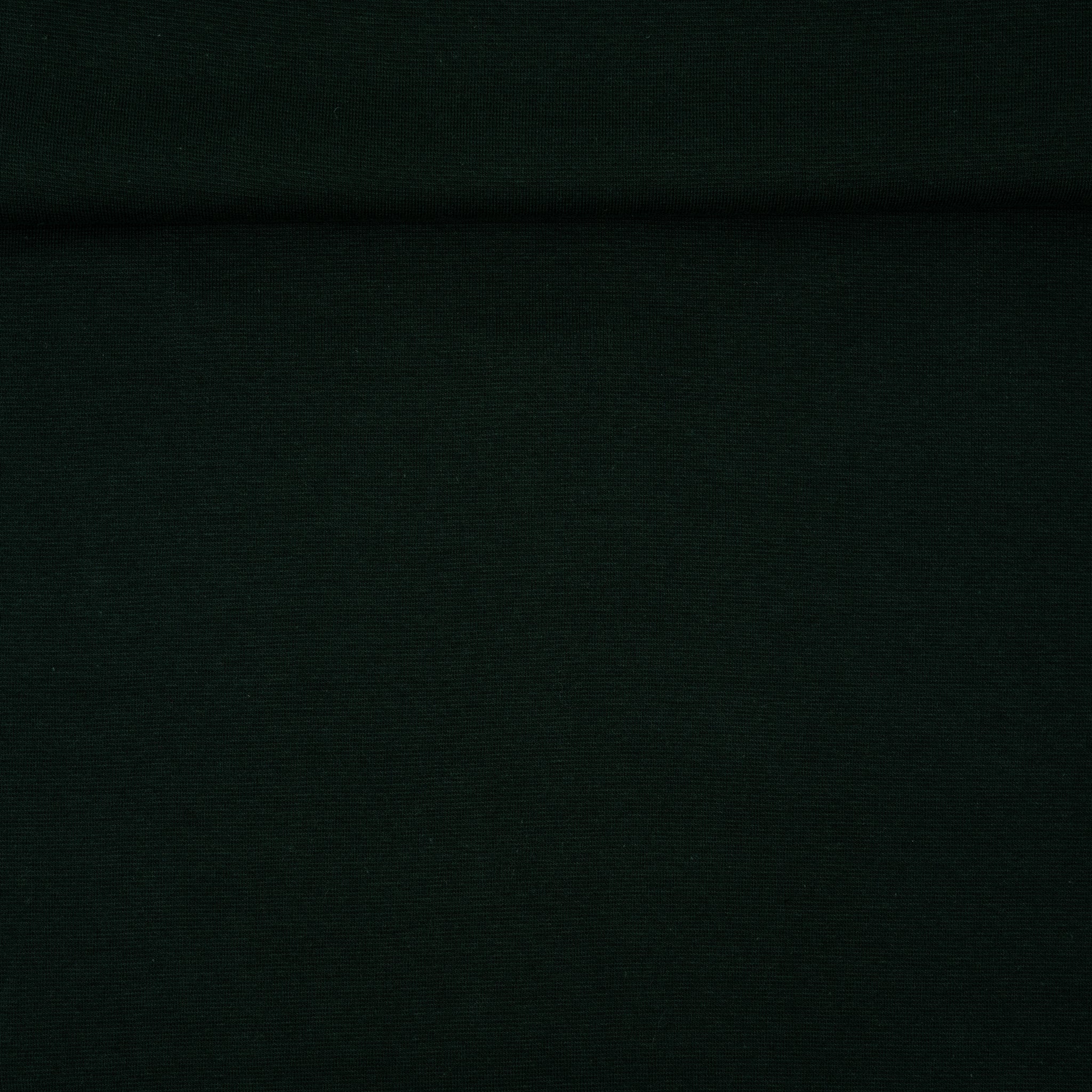 Bio Bündchen Saftgrün Dunkel