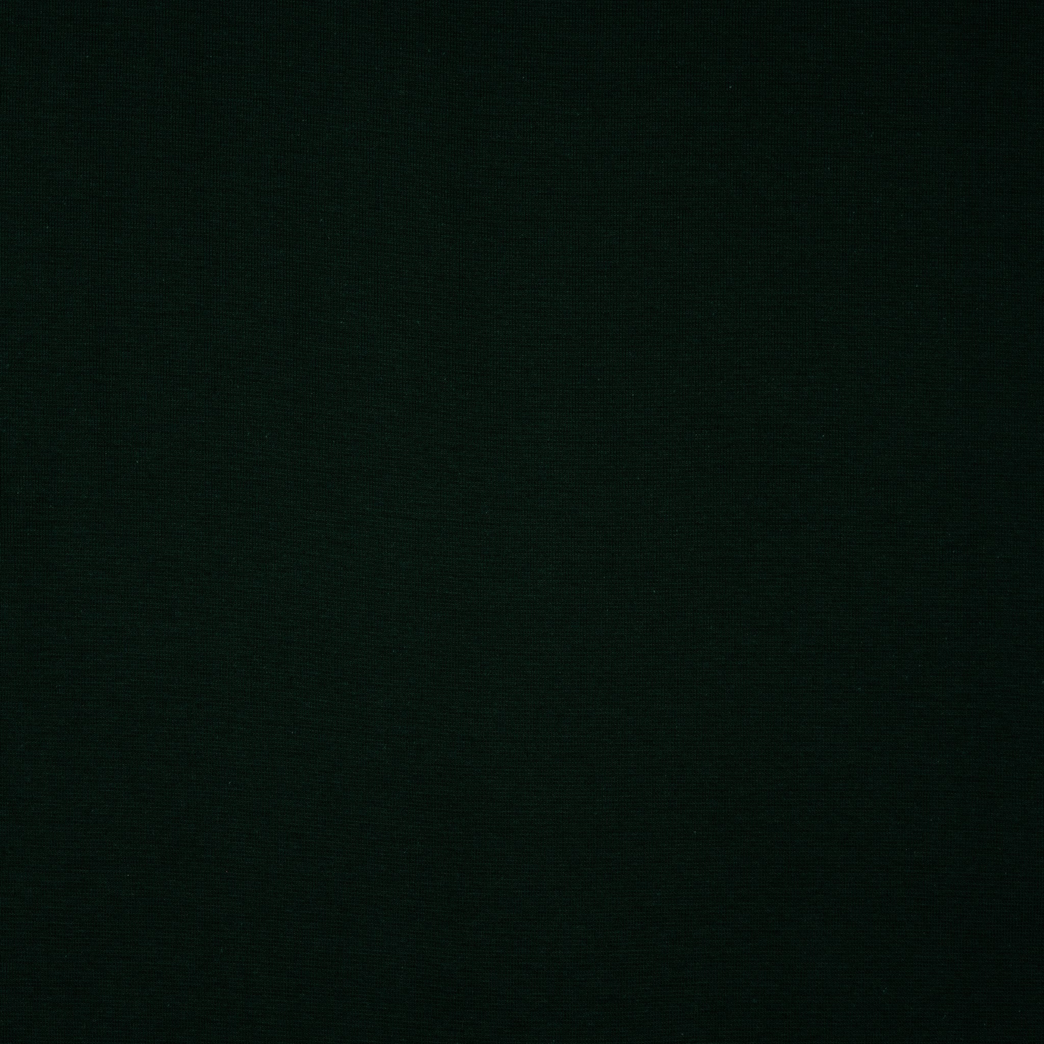 Bio Bündchen Saftiges Grün