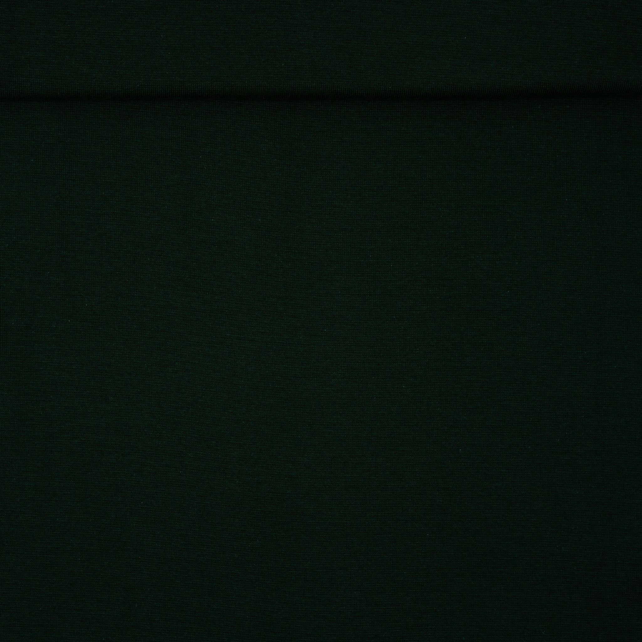 Bio Bündchen Saftiges Grün