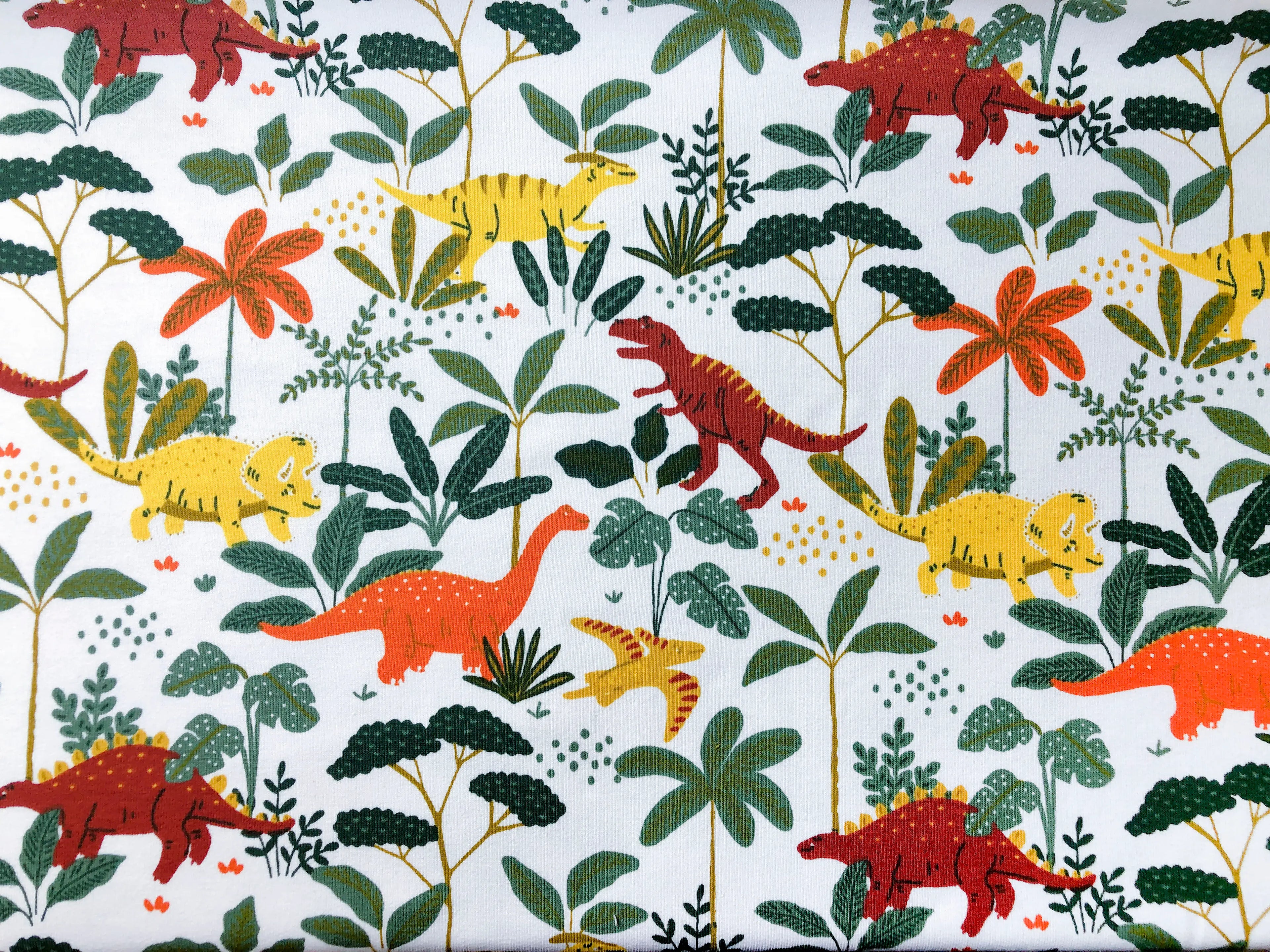 Bio French Terry Dinopark