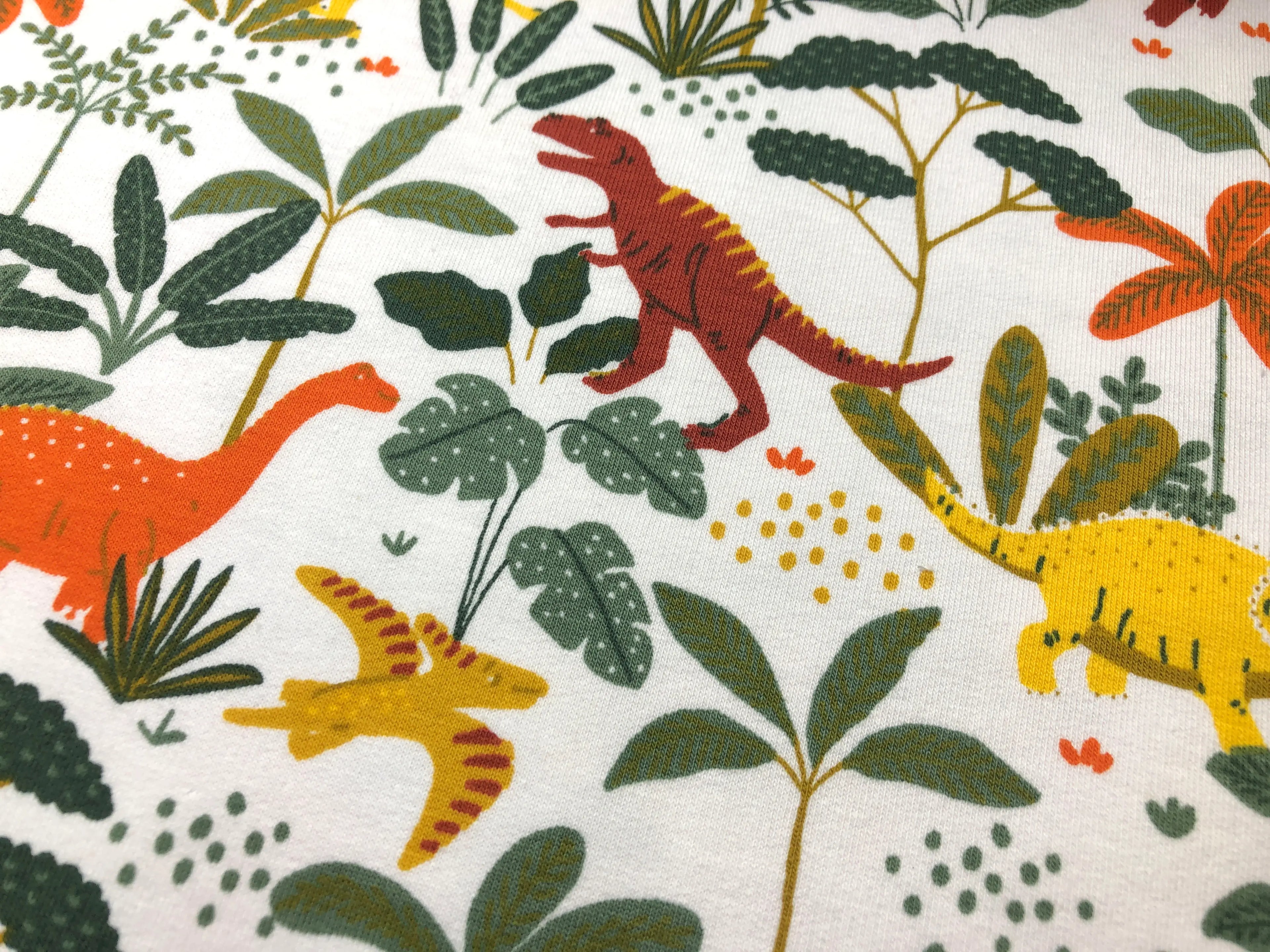 Bio French Terry Dinopark