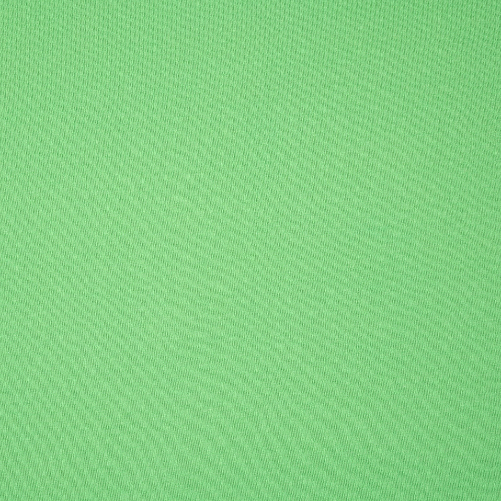 Bio French Terry Limette | Stoffwerk