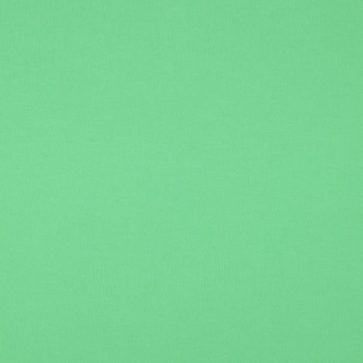 Bio French Terry limette