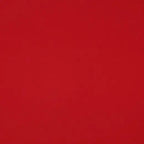 Bio French Terry rot