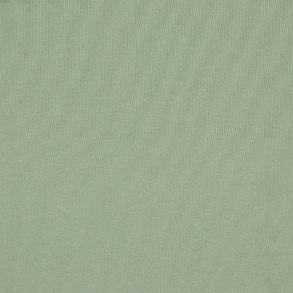 Bio French Terry salbeigrün