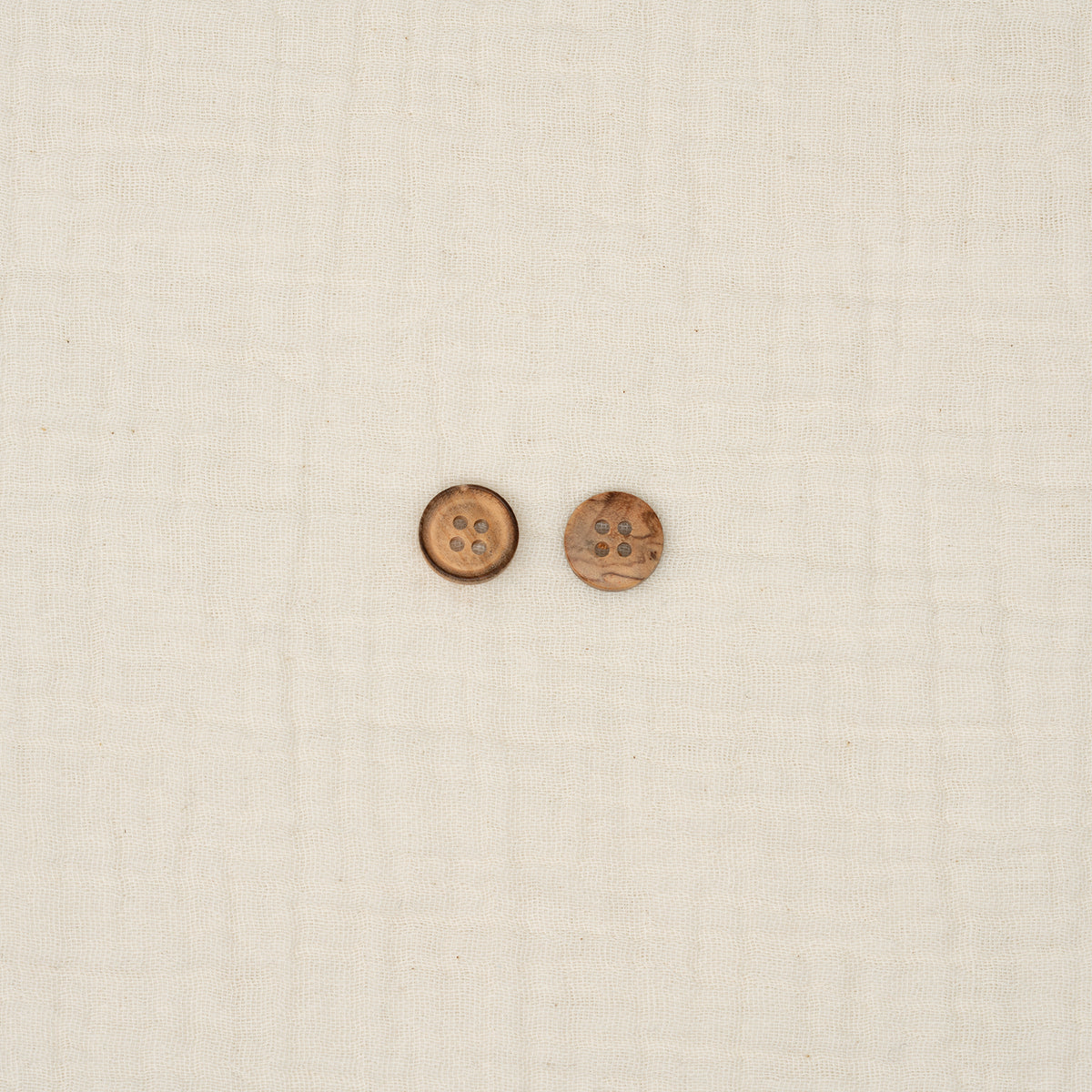 Bio Holzknopf Olive Naturbraun Gebrannter Rand Geschüsselt (12 mm)