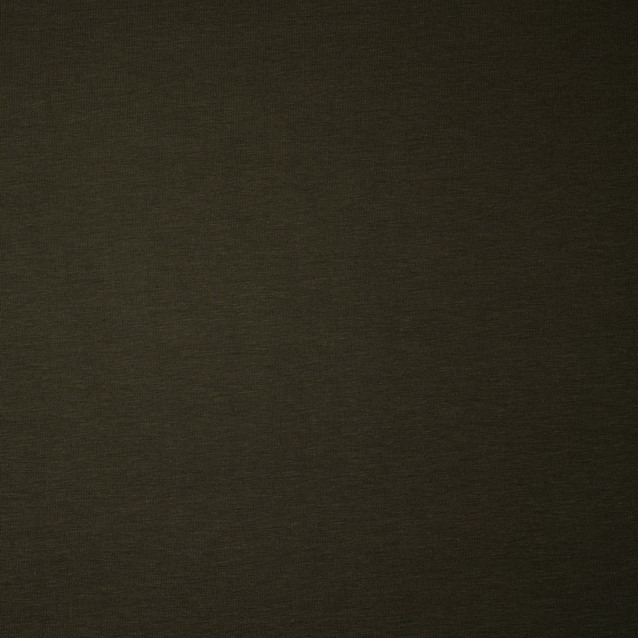 Bio Jersey Schlangengrün