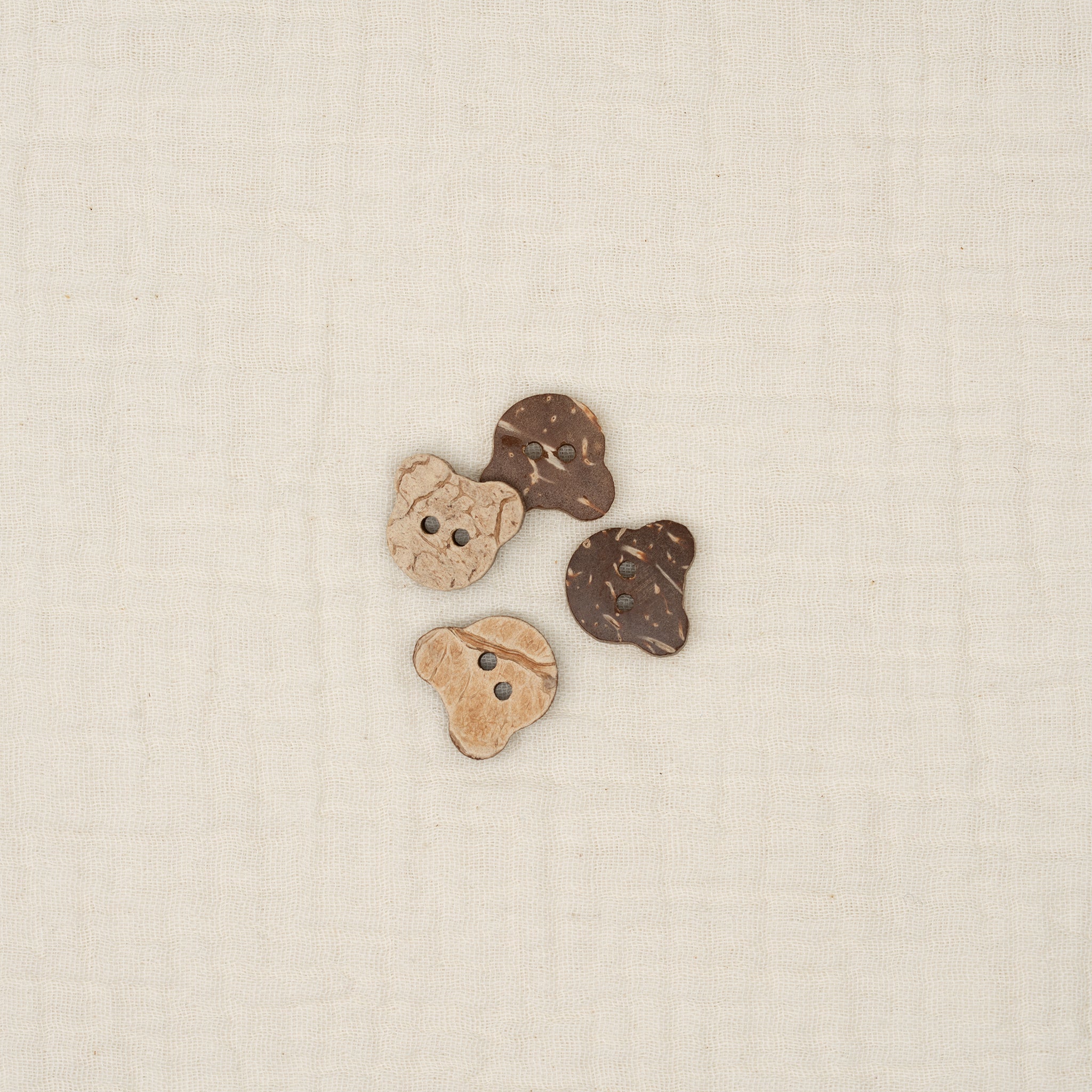 Bio Kokosnussknopf Teddy Natur