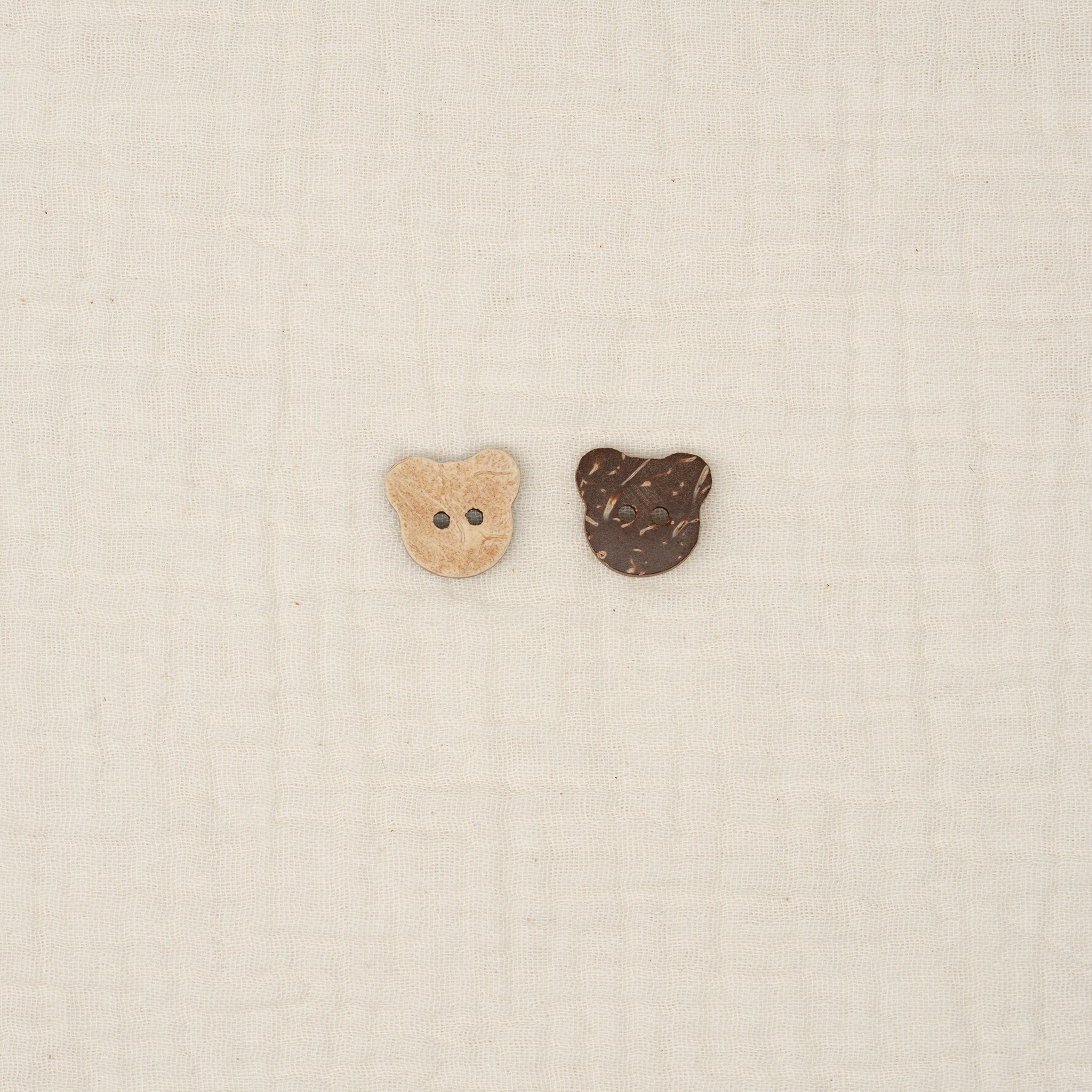 Bio Holzknopf Kokosnuss Teddy Natur