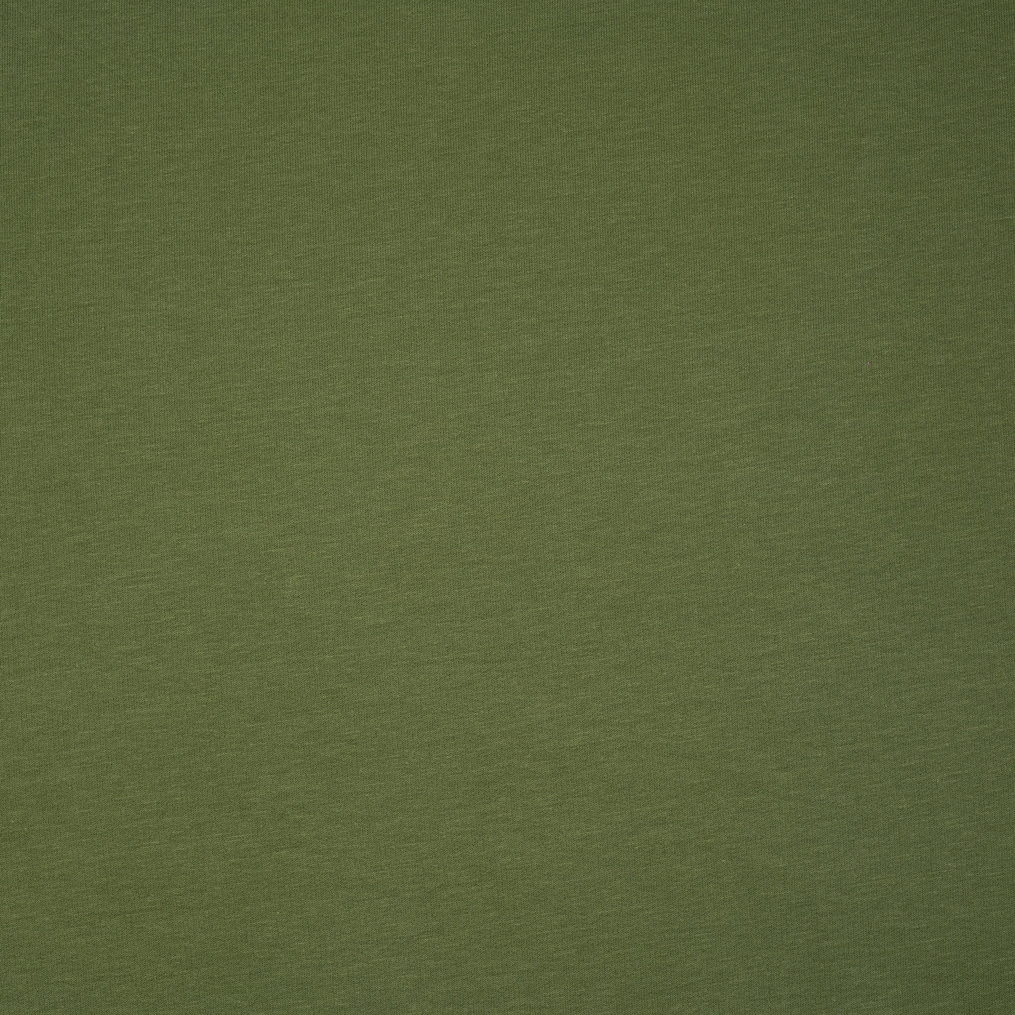 Bio Kuschelsweat Olivgrün Hell