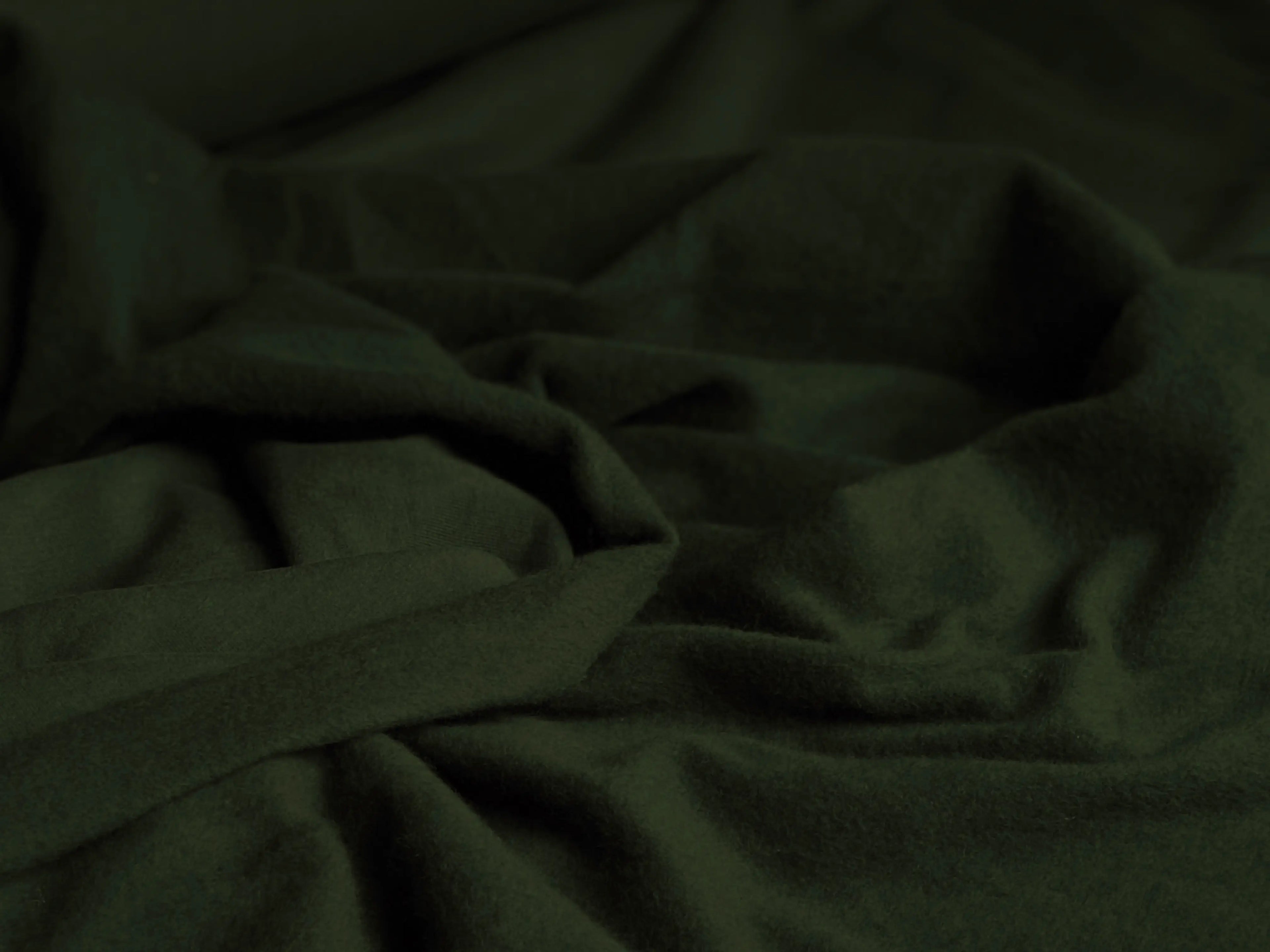 Bio Kuschelsweat tannengrün