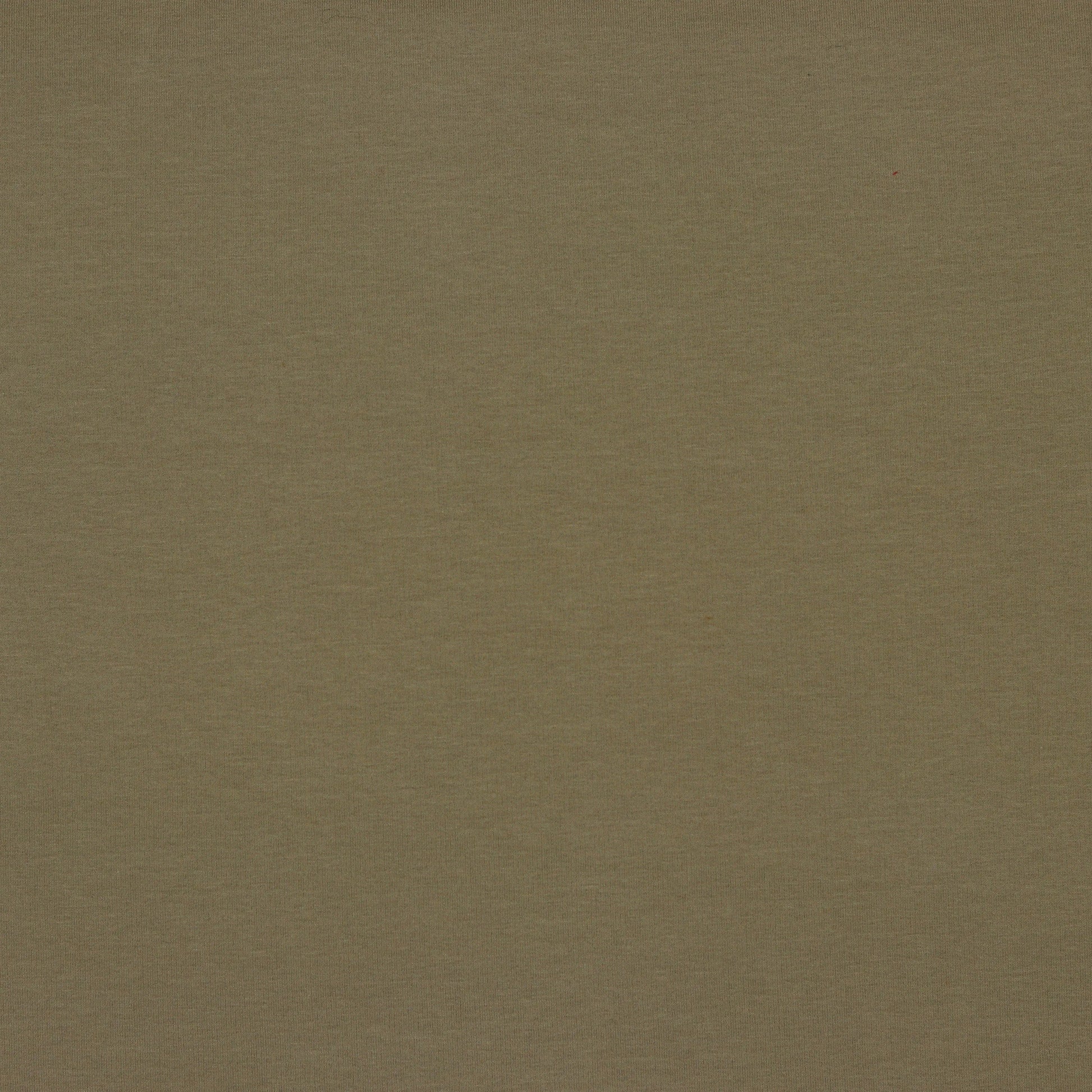 Bio Kuschelsweat taupe
