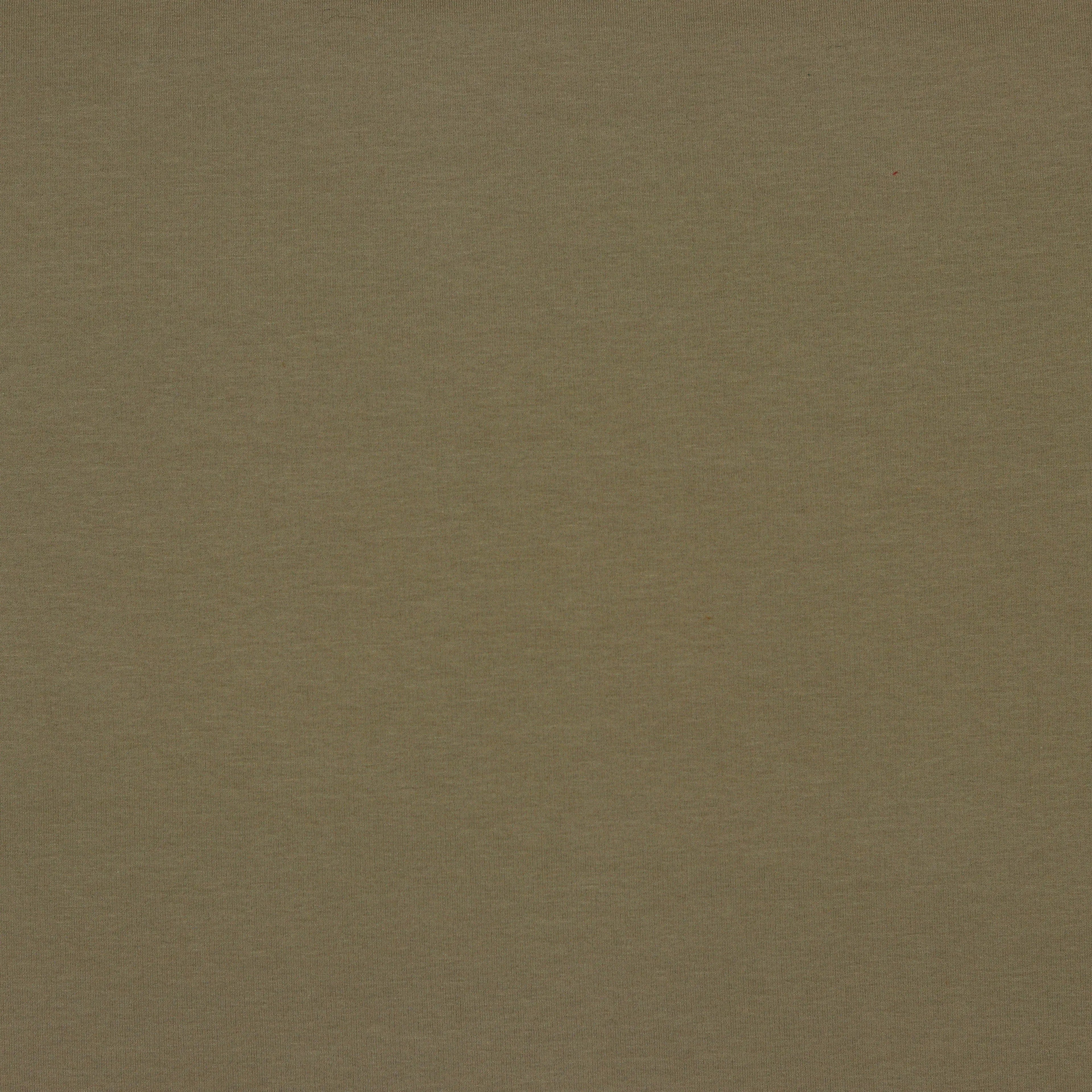 Bio Kuschelsweat taupe