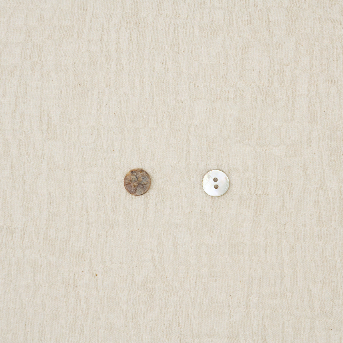 Bio Makassar-Perlmuttknopf Naturbeige (10 mm)