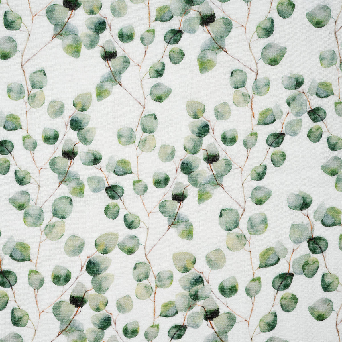 Bio Musselin Eucalyptus Weiß