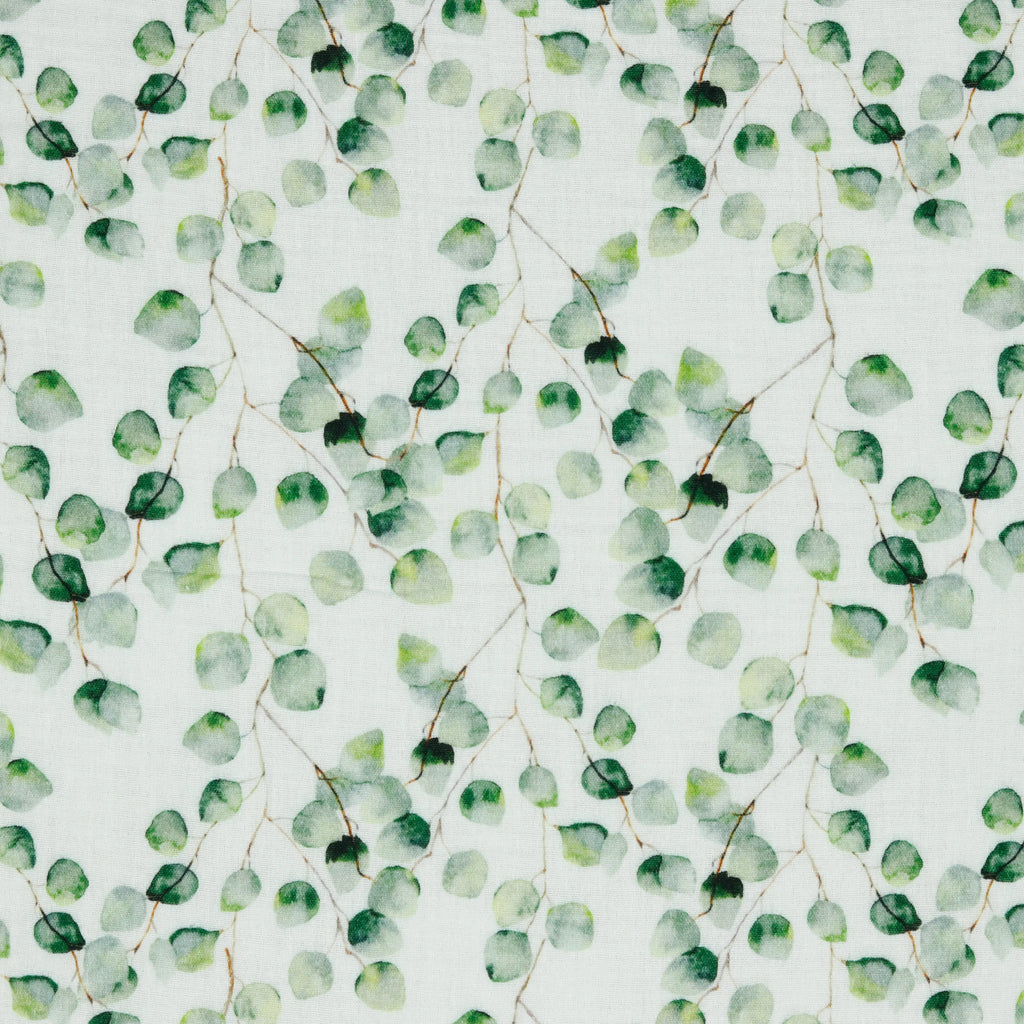 Bio Musselin Eucalyptus weiß