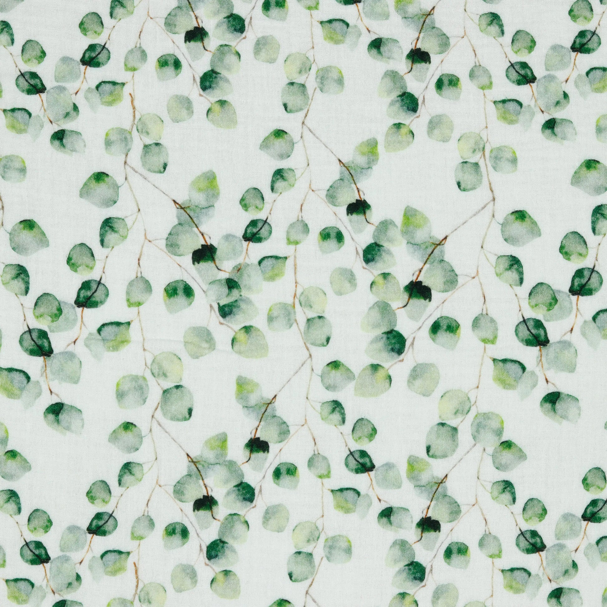 Bio Musselin Eucalyptus weiß