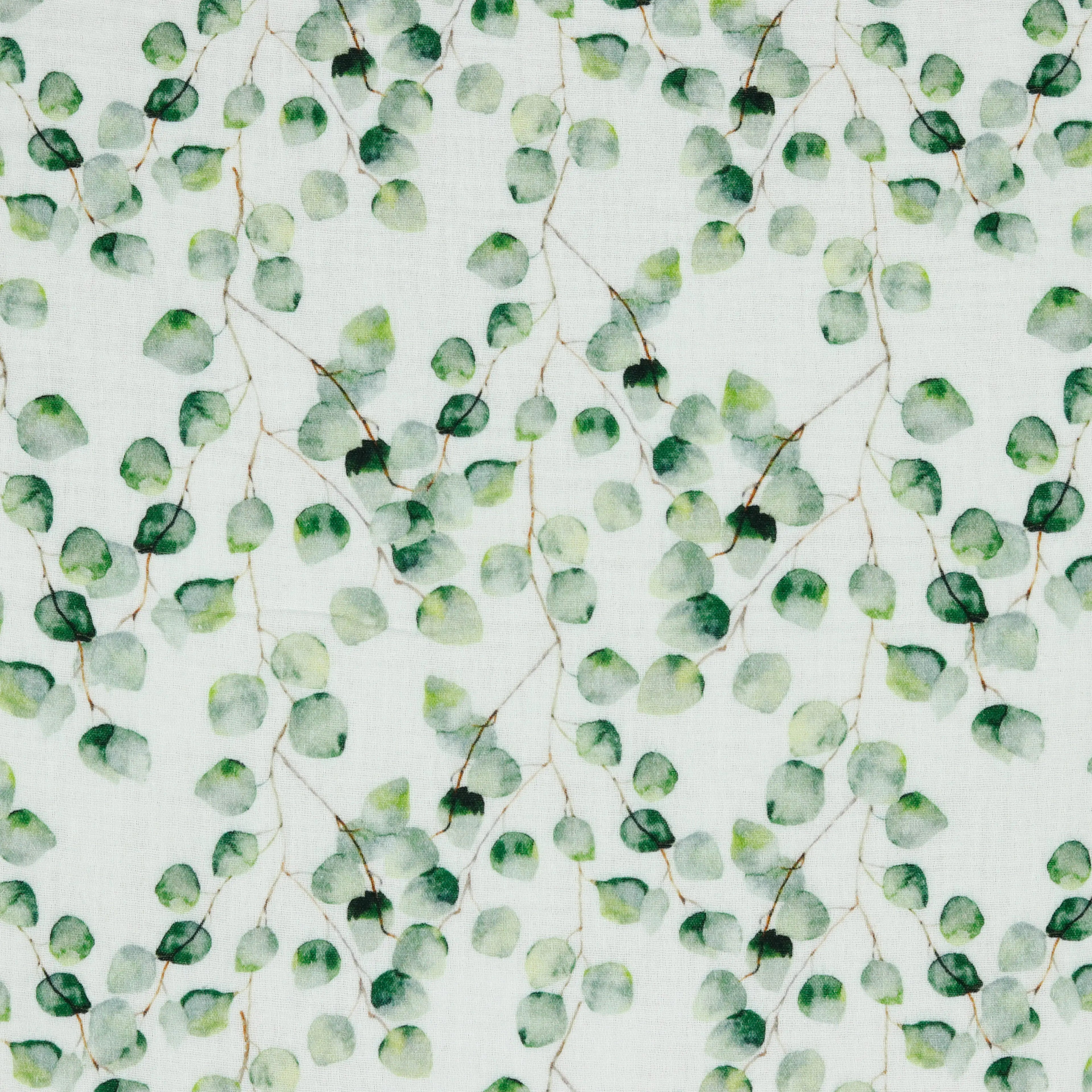 Bio Musselin Eucalyptus weiß