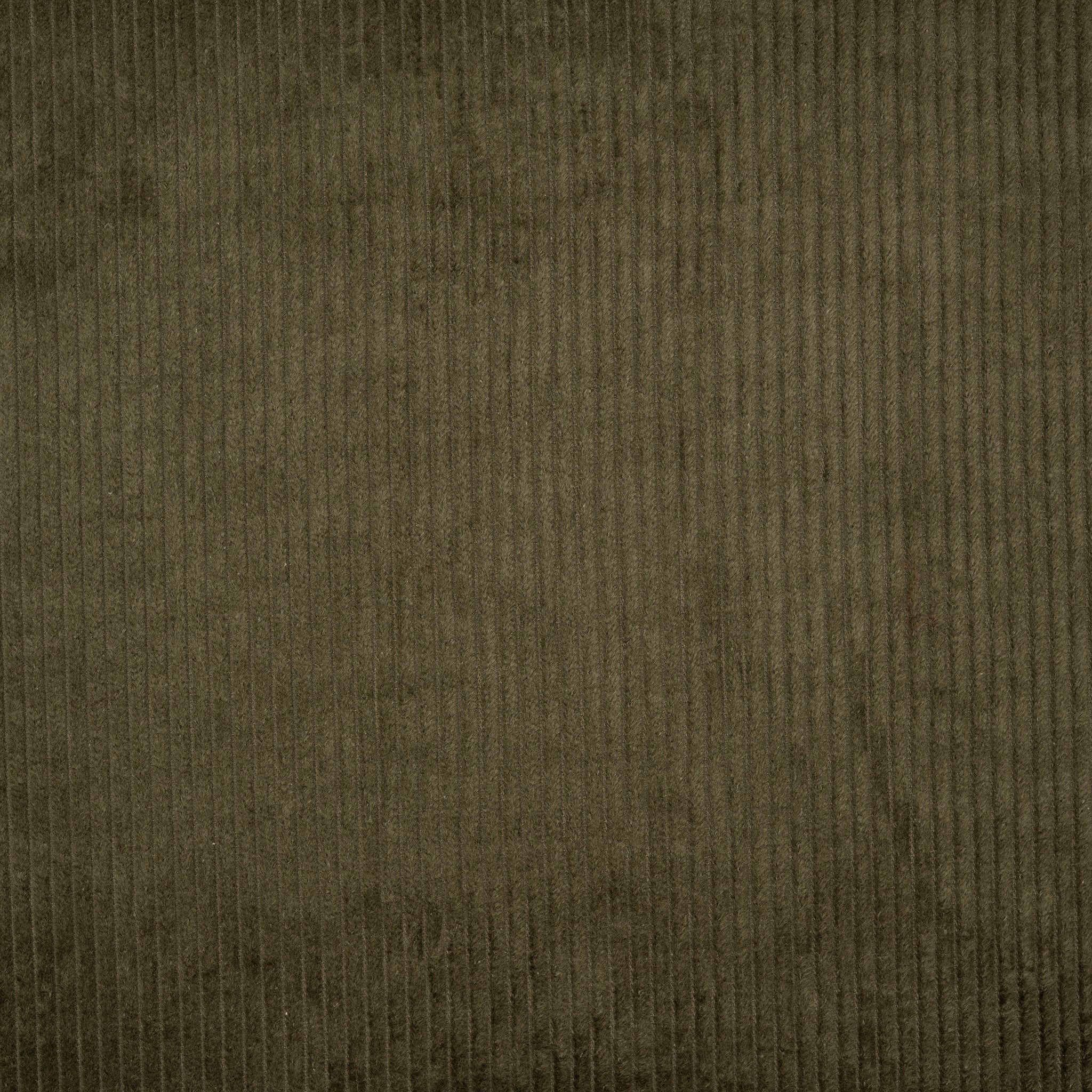 Breitcord Gewaschen Armeegrün