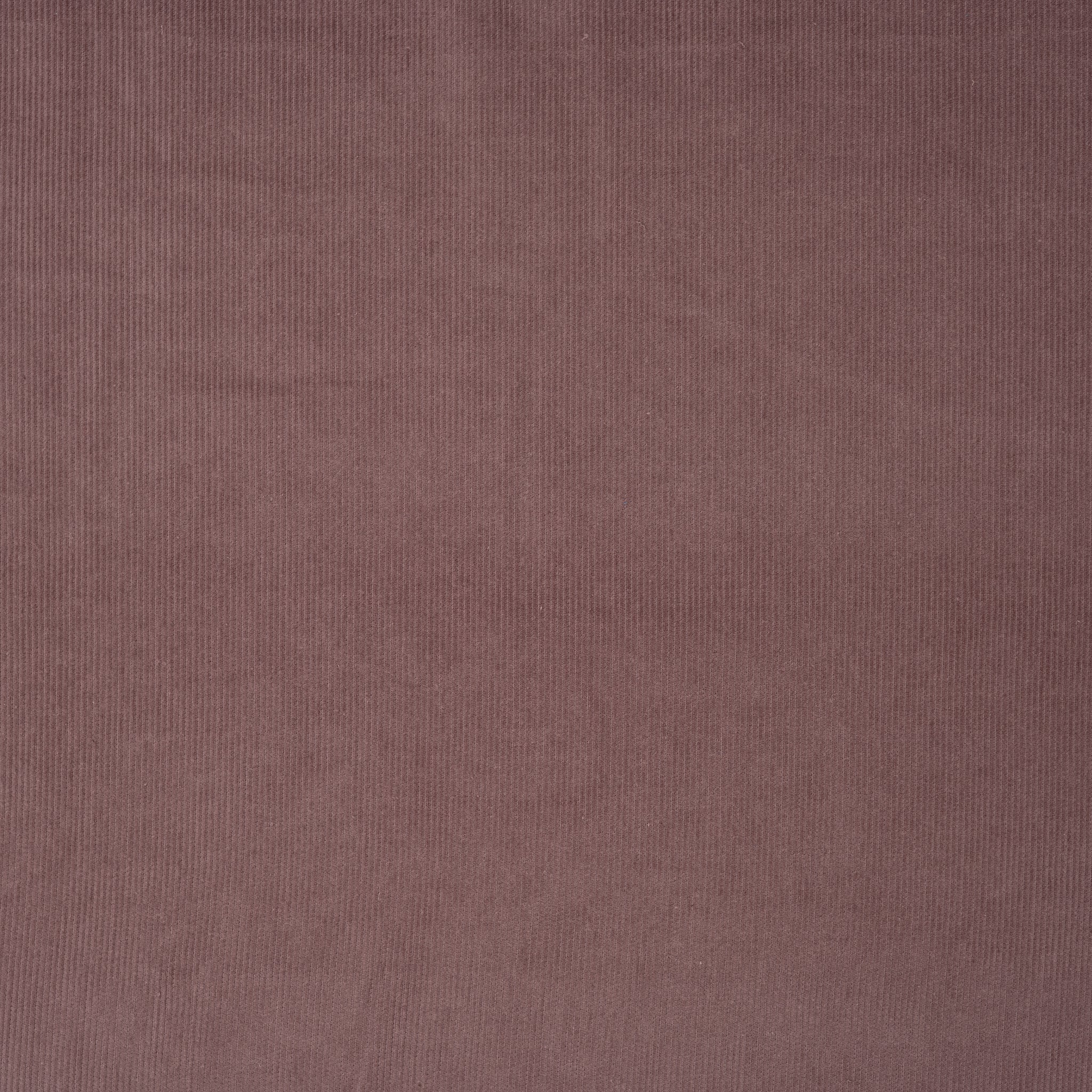 Feincord Gewaschen Mauve