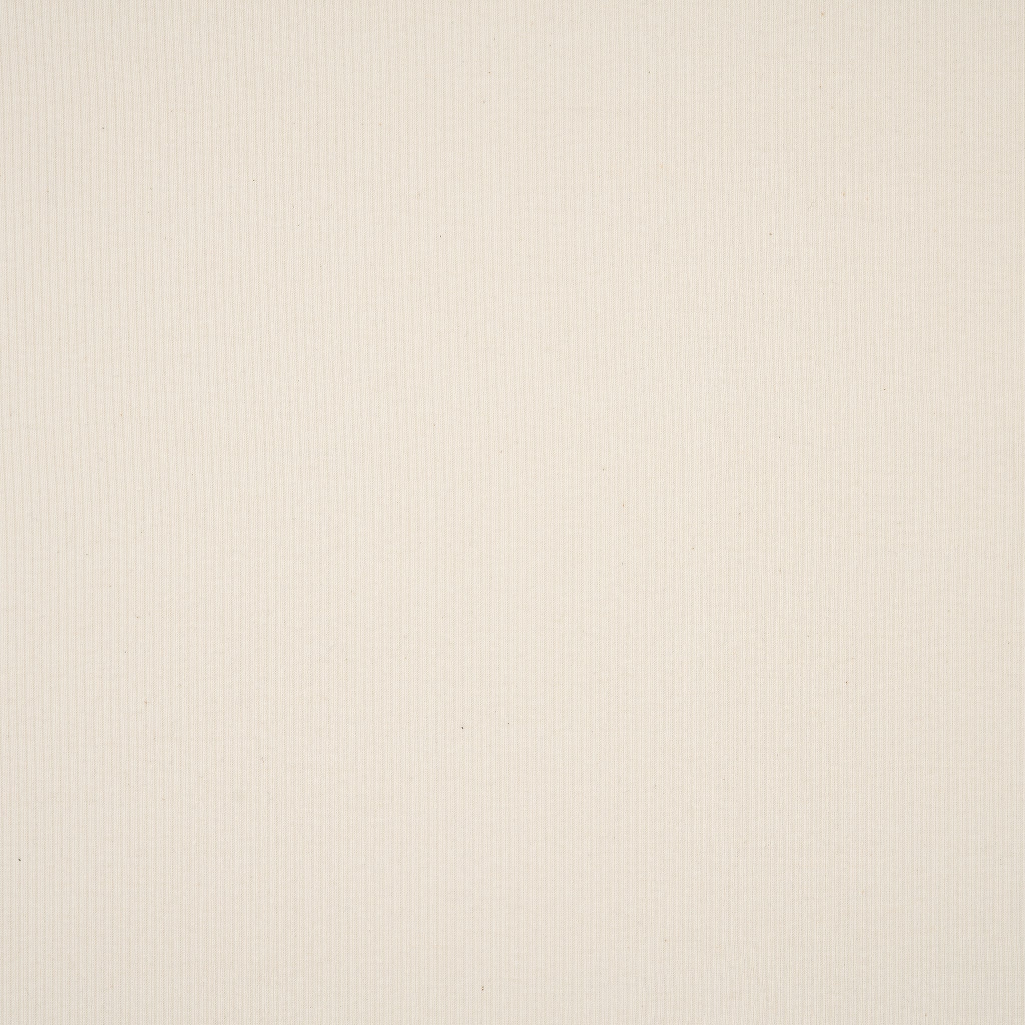 Ripp Jersey Naturbelassen