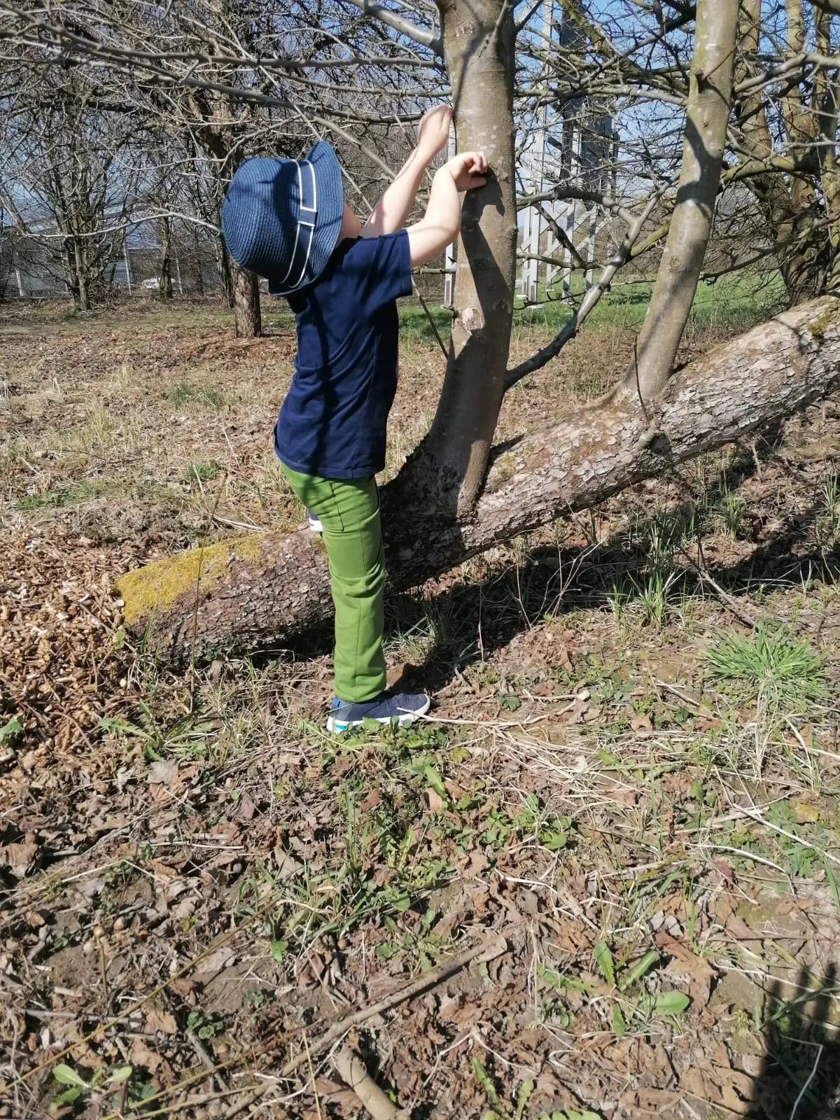 Schnittmuster Jogginghose Hans
