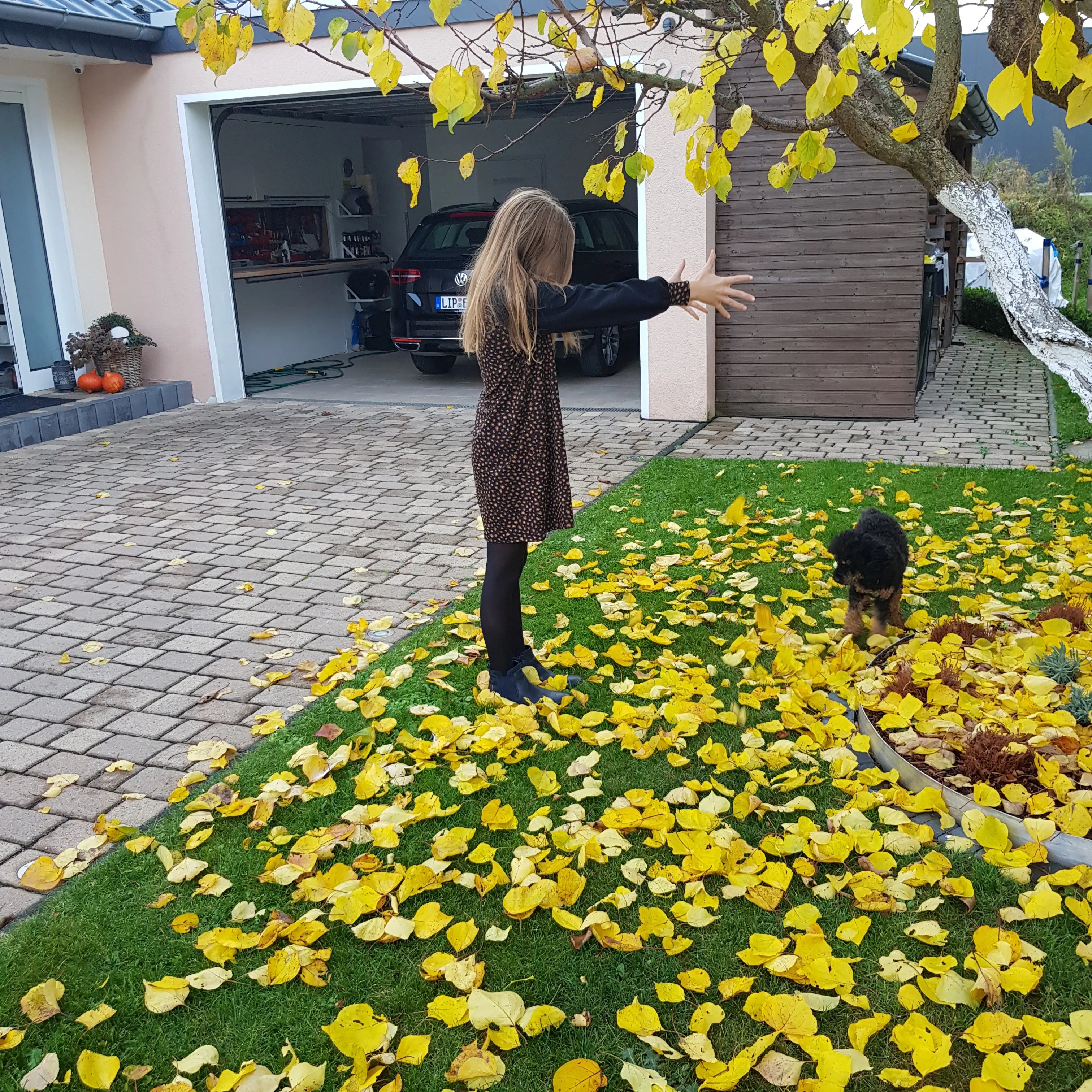 Schnittmuster Kleid Lucy
