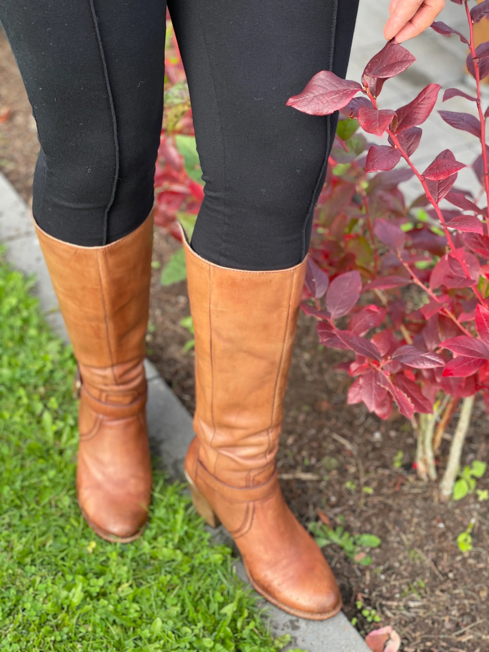 Schnittmuster Leggings Adele